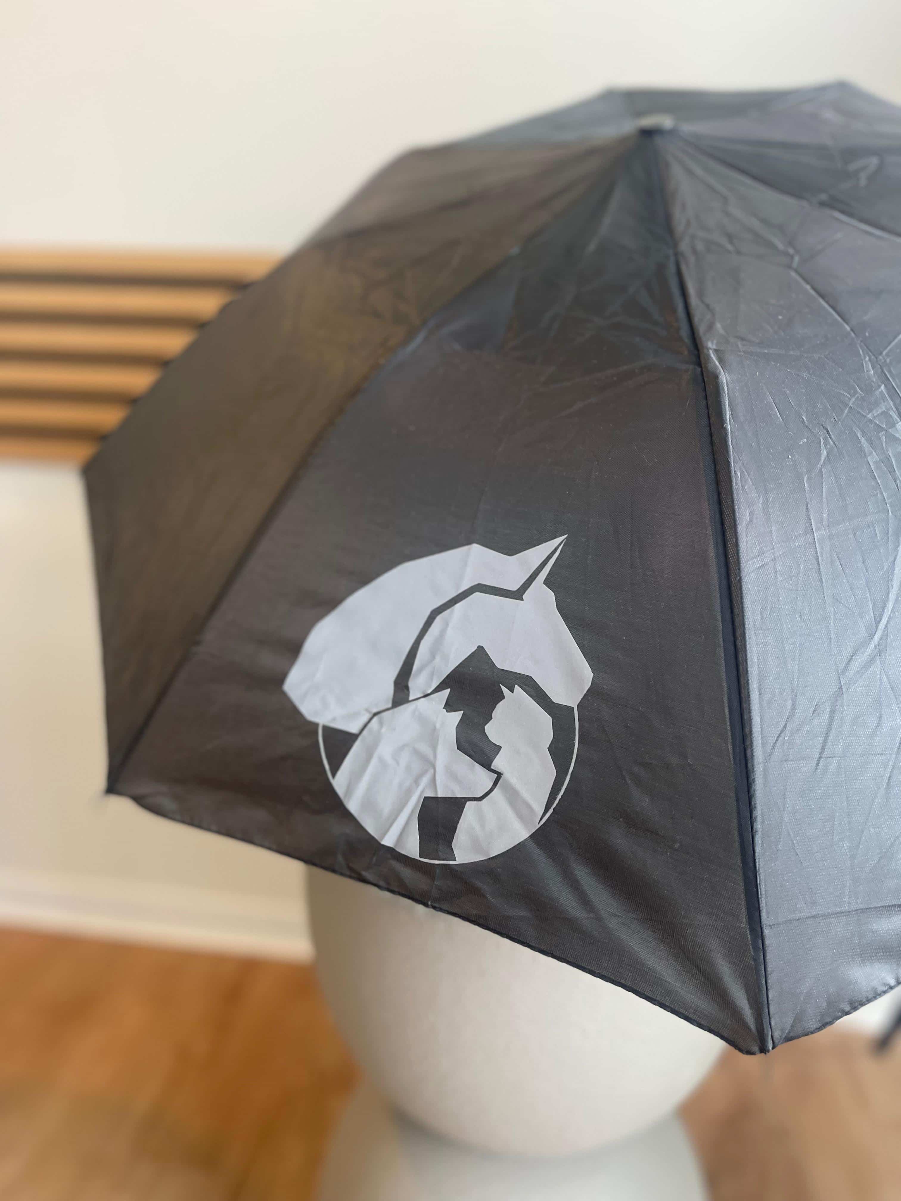 Tierheilpraxis Regenschirm - Bild 1